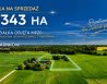 Dzialka Sprzedaż